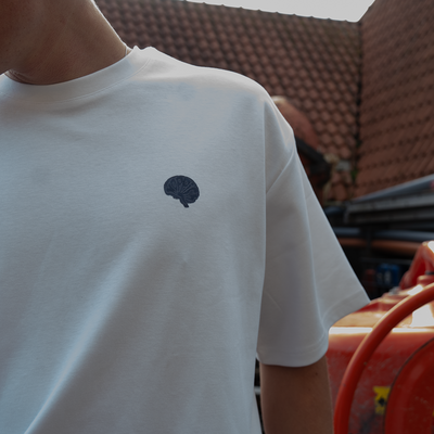 Koppich | The reconstruction | 01 TEE