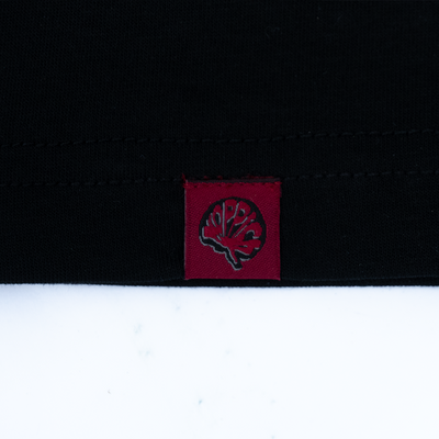 Koppich | The reconstruction | 03 TEE