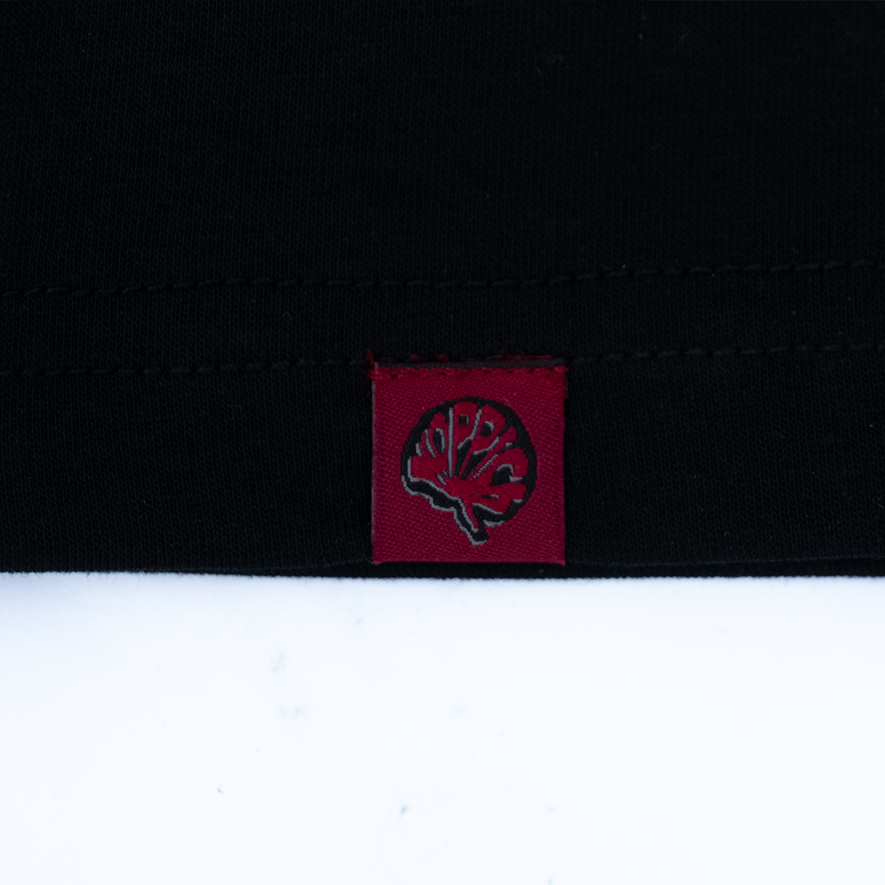 Koppich | The reconstruction | 02 TEE